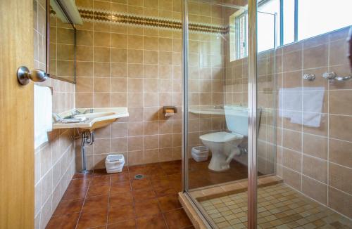 a bathroom with a shower and a toilet at Meramie Motor Inn in Albury