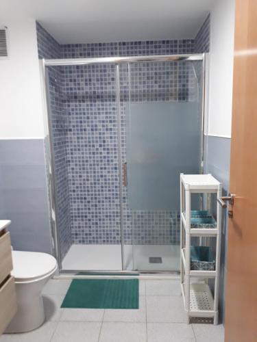 a bathroom with a shower with a toilet and a green rug at Tu rincon en Playa de Melenara in Telde