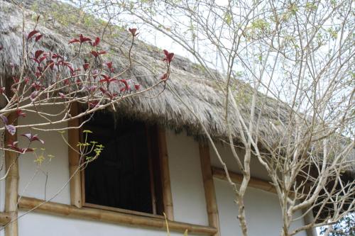 a thatch roof on a house with a window at Muyuyo Lodge in Ayangue