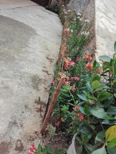 a garden with flowers and a wooden fence at Keshiya Holiday Home in Nuwara Eliya