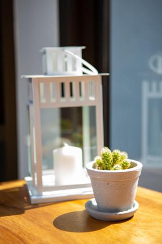a small plant in a pot sitting on a table at Rich8 Hostel in Bangkok