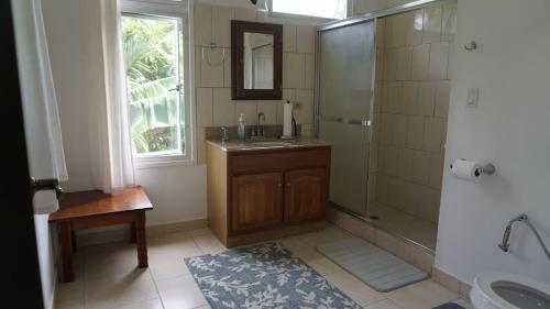 a bathroom with a sink and a shower and a mirror at The Dudek's Nest B&B in Ngermid