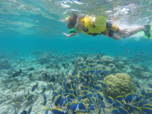 a man swimming over a coral reef with fish at Mariana Maldives in Gaafaru