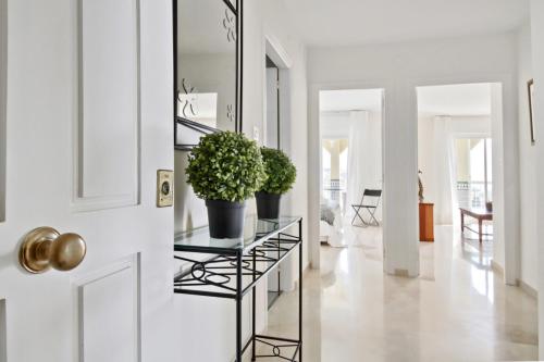 a hallway with a door with potted plants on a glass table at Del Parque Flats - Torrevigia in Cala del Moral
