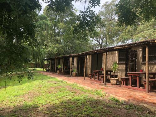 une cabine dans une forêt avec tables et bancs dans l'établissement TreeTopia Guesthouse, à Benoni