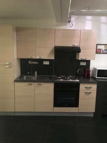 une cuisine avec un évier et une cuisinière four supérieur dans l'établissement Les Appartements Berthe Molly, à Colmar