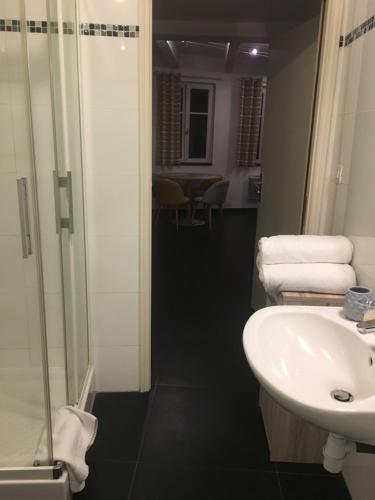 a bathroom with a sink and a shower at Les Appartements Berthe Molly in Colmar