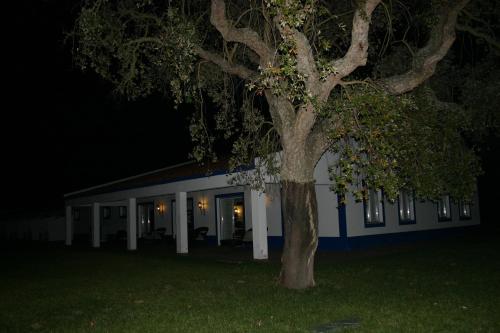 a tree in front of a building at night at Monte das Faias Cork Farm Hotel in Grândola