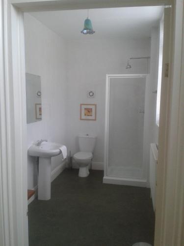 a white bathroom with a toilet and a sink at Wentvale in Knottingly