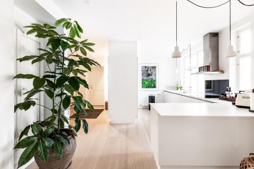 a large potted plant in a white kitchen at Dinesen Collection Luxury Condos in Copenhagen