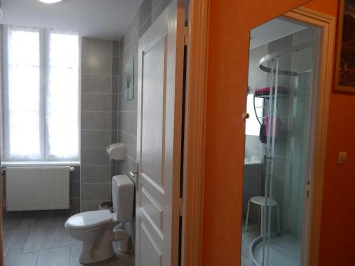 a bathroom with a toilet and a glass shower at Le Lion D'or in Ouroux en Morvan