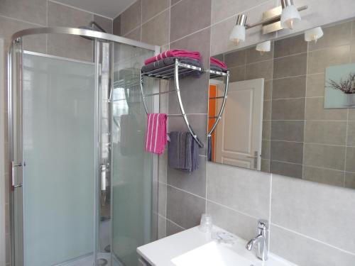a bathroom with a shower and a sink and a mirror at Le Lion D'or in Ouroux en Morvan