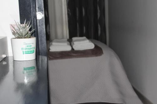 a plant sitting on a table next to a window at Casa do Rio - Penacova in Raiva