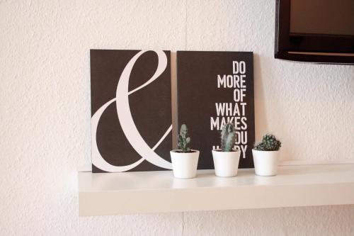 a shelf with three potted plants on a wall at Engen Apartment in Engen