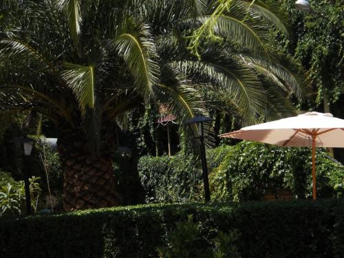 an umbrella and a palm tree in a garden at Hostal San José in Cadalso de los Vidrios