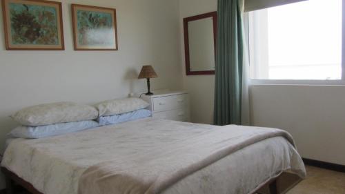 a bedroom with a large bed and a window at Swem Jannie in Struisbaai