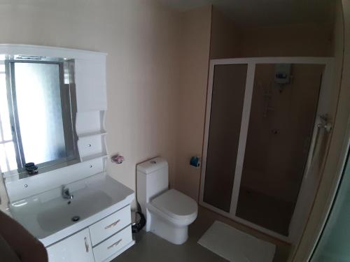 een badkamer met een toilet, een douche en een wastafel bij Diamond Plaza in Grand Anse