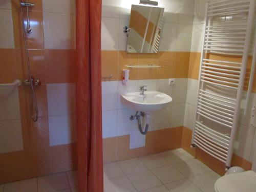 a bathroom with a sink and a mirror and a shower at Vila Horal in Liptovský Mikuláš