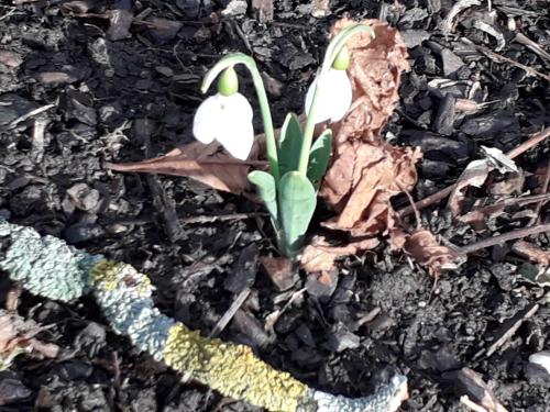 Jardín al aire libre en Hello Apartmanház