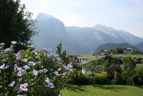 un jardín con flores y montañas al fondo en Haus Bergheimat, en Abtenau