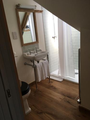 a bathroom with a sink and a mirror and a toilet at Black Horse in Amberley