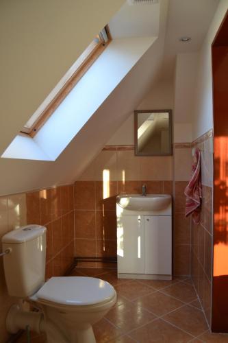 a bathroom with a toilet and a skylight at Apartmán Anežka Albrechtice in Albrechtice v Jizerských horách