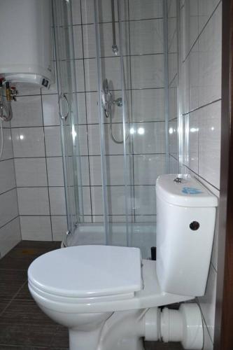 uma casa de banho com um WC branco e um chuveiro em Domki całoroczne em Zator