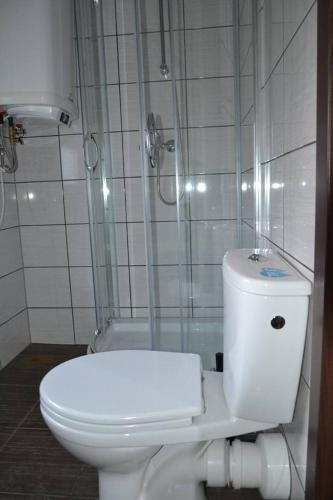 een badkamer met een wit toilet en een douche bij Domki całoroczne in Zator