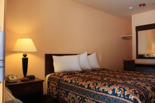 ein Hotelzimmer mit einem Bett und einer Lampe in der Unterkunft Gold Trail Motor Lodge in Placerville