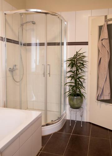 a bathroom with a shower and a potted plant at Stemweder Quartier in Stemwede