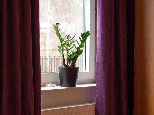 a potted plant sitting on a window sill at Björkbackens Karaktärshotell in Vimmerby