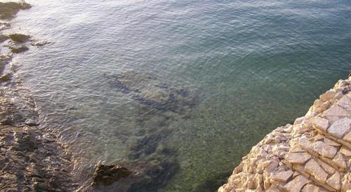 Fotografie z fotogalerie ubytování Apartment Toya v destinaci Slatine