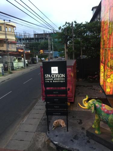 a dog laying next to a sign on the side of a street at Sea Sands Beach Hostel in Negombo
