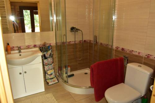 a bathroom with a shower and a toilet and a sink at Agroturystyka Rogoznia in Rogóżnia