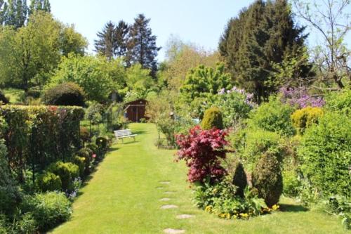 un jardín con muchos arbustos y flores y un banco en B & B Le Jardin Bed & Breakfasts, en Ménil