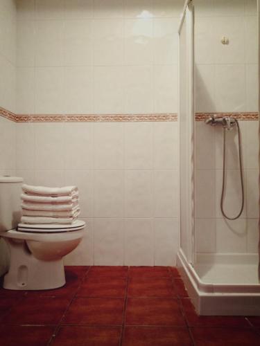 a bathroom with a toilet and a shower with towels at Casa Rural Lahuerta Apartamentos in Guadalaviar