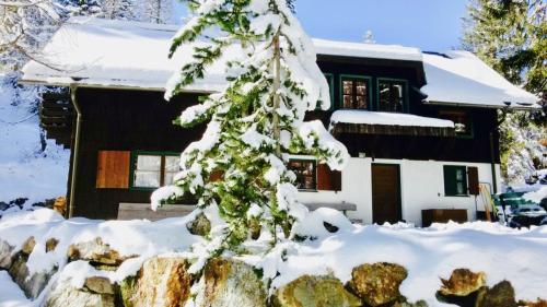 a house covered in snow with a tree at Waldnerhütte in Hermagor