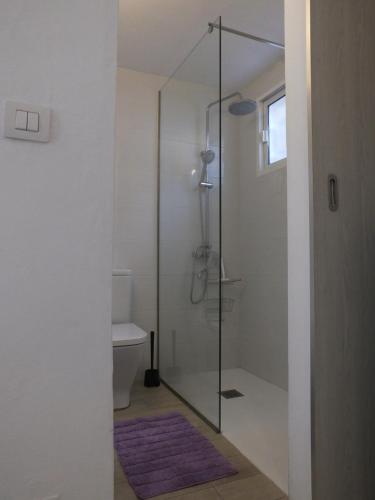 a bathroom with a glass shower with a toilet at BLU in Puerto del Carmen