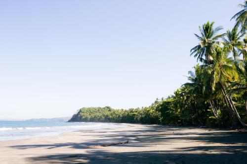 a beach with palm trees and the ocean at Punta Duarte Garden Inn in Los Duarte