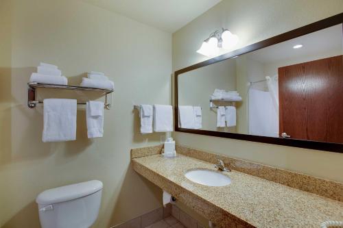 W łazience znajduje się umywalka, lustro i toaleta. w obiekcie Cobblestone Inn & Suites - Clintonville w mieście Clintonville