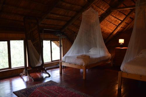 Gallery image of Lion Tree Bush Lodge in Marloth Park