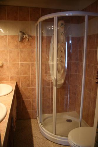 a shower in a bathroom with a face in it at Herbages de Beauvais in Orgères-la-Roche