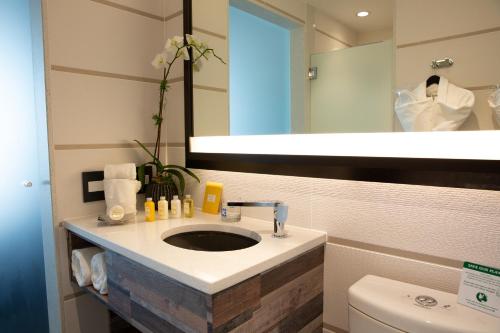 a bathroom with a sink and a mirror at Hotel Le Bleu in Brooklyn