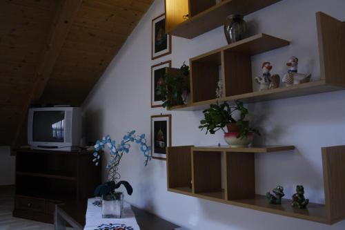 a living room with wooden shelves and a tv at Appartamento Al Castello in Levico Terme
