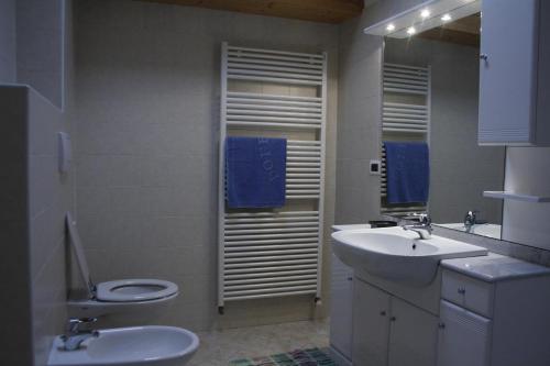 a bathroom with a sink and a toilet and a mirror at Appartamento Al Castello in Levico Terme