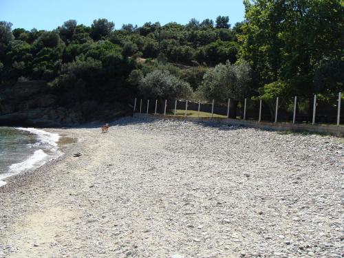 Galeriebild der Unterkunft Gialaki in Pyrgadikia