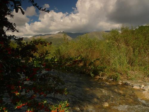 una vista de un campo con montañas en el fondo en Samsara Traslasierra en Los Hornillos