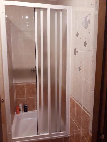 a shower with a glass door in a bathroom at Daugavpils City Centеr Apartment in Daugavpils
