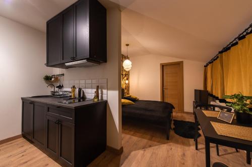 a kitchen with black cabinets and a living room at Liepaja Apartments in Liepāja