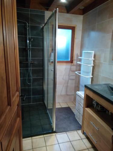 une salle de bain avec une douche avec une porte vitrée dans l'établissement Denali, à Les Clefs